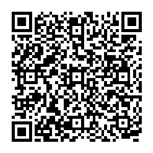 而那块石头之上 则龙飞凤舞的刻画着一头威风禀禀的妖狼 扬天而啸 似在吞噬月华二维码生成