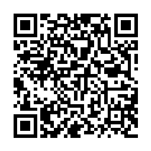 而那巨大的黑色手掌在离着轮回殿殿主上空十米的距离时二维码生成