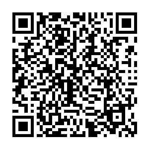 而那数名双目中散发出墨绿色光芒的死士似乎浑然没有听到他们的说话声二维码生成