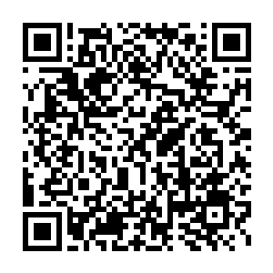 而那斗笠人则是专心致志地看多媒体――他甚至学会了用发电机充电二维码生成