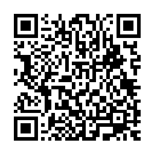 而那时候玄真子不过是个一路乞讨无父无母进京求生的黄毛小儿二维码生成