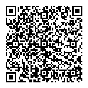 而那李一凡　则是在这一拳之下倒退一步　将手背在背上　看似他胜了　其实在这简单的一拳之下　他却是站在了下风二维码生成