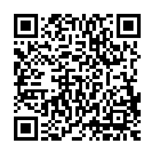 而那段全民却反而是笑嘻嘻地拿着一张名片走到了罗卿卿的面前二维码生成