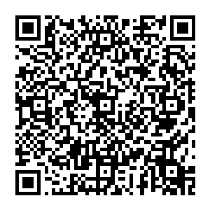 而那血魔 也是连连倒退 咚的一声坐在地上久久沒有站起來 而且手持狼牙棒的大手也是剧烈的颤抖着二维码生成