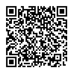 而金在珉却是因为这个数字可以给他们拉不少时间完成任务松了一口气二维码生成