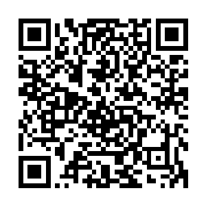 而陈锡亮大概不过是边疆一道经略使或是中枢一部尚书的才识二维码生成