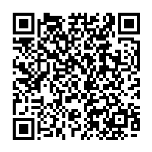 而随后他左臂那由玄武背甲所化的臂盾也在这可怕能量的轰击下开始支离破碎二维码生成