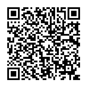 而隔着厚实的车门年欣然也能感受到来自男人身上那股不寒而栗的冷漠二维码生成