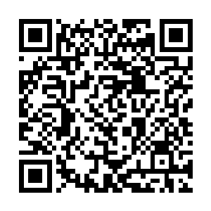 而雷林的手掌上面则是浮现出了两条烧伤一样的痕迹二维码生成
