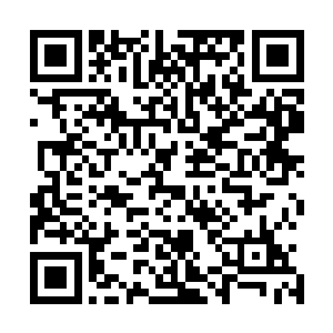 而霍尔经过亡灵君主的训练之后实力也是得到了飞速的进展二维码生成
