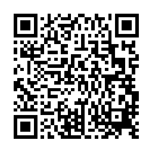 而高扬所拿到的枪很显然是萨科推出的一款同口径的猎枪了二维码生成