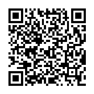 而黑仔和灵猫儿被流墨墨的七彩灵力罩护住没有被毒气碰到二维码生成