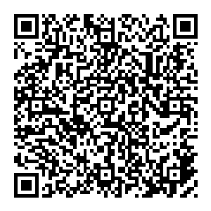 而黑板上用粉笔字写着的电影放映时间以及周围三五成群的卖瓜子花生和汽水的小贩们无疑不在宣示着这就是双峰县最热闹的所在了二维码生成