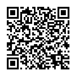 而HD战队的卡萨丁这个时候也不去管已经推进塔下的兵线了二维码生成