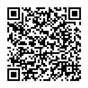 耗费了不菲代价将华夏九和申屠铁在西城门发生冲突的详细过程查探到二维码生成