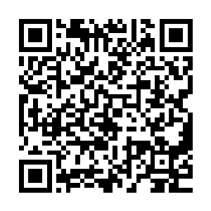 聂轻尘在门口安慰了因为没测出灵根而哭哭啼啼的叶馨一会儿二维码生成