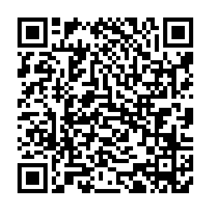 职业的打手……还全都是手持着凶器的……还全都是被人家当成皮球一般的踢出二维码生成