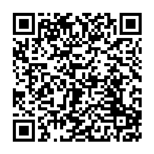 联合国驻南苏丹特派团特别代表大卫·希勒已经派出了维和部队的特派团二维码生成