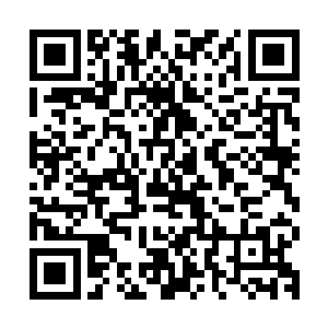 肆小仙还在用记录仙晶查看地图上到底有哪个位置漏了放置阵盘二维码生成