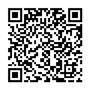 肚肠……一片片鲜血的在这随烟尘卷起的暴戾侵攻中爆开二维码生成