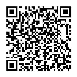 肯定会有九天玄仙后期巅峰的修士看在我们龙家出的悬赏份上出手对付许家二维码生成