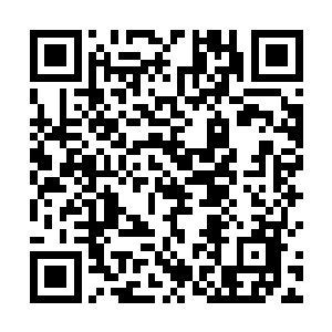 肯定会深受小朋友们的喜爱――这世界反正也没圣斗士二维码生成
