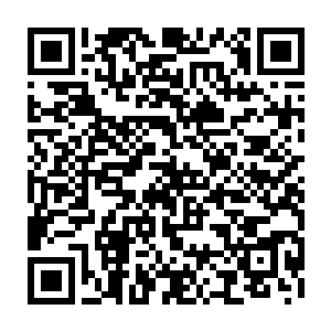 肯定是双方都在动手――凭什么到你嘴里就是我家小孩单方面的殴打别人啦二维码生成