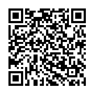 肯定是土家寨主得知了菇人部族所在之地的秘密方位二维码生成