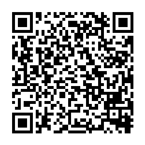 肯定是让上面顺手拿来堵挡敌方天仙攻击……反是青脉仙人们善抓时机二维码生成