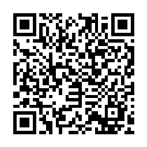 肯定被那个他丝毫没放在眼中的玉面飞龙给用什么办法夺走了二维码生成