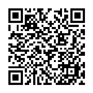 肯定还是会一如既往的拿到自家院线里去长线放映二维码生成