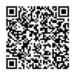 肾阴虚……肝腹水……轻微感冒……脚气……内火过旺……月经不调……二维码生成