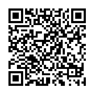背后的赤电独角寒冰兽已经和盛掌门只差一米多的距离了二维码生成