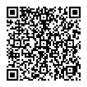 背后都有着一个庞大无比的势力在掌控和培养着……根本不可能会让它流传出去的二维码生成