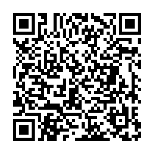 胖妞拼尽全力将我指定的那个厉鬼用一种长长的蛊虫给缠成了木乃伊二维码生成