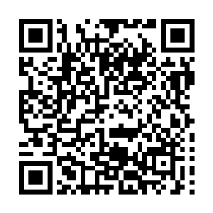 胖比啊几个实习的医生看到自家主人被人累着衣领立刻怒道二维码生成