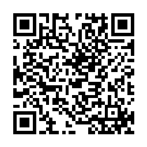 胖爷我就只能帮你到这里了……你和校花到底有没有缘二维码生成