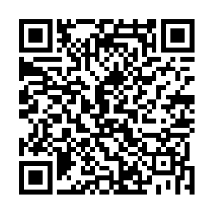 胡思乱想你要把千种万种狠毒刁钻的刑罚加在他们身上了二维码生成
