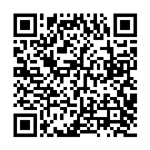 胡莲花了一小段时间大致简述了一番他在这个世界的经历二维码生成