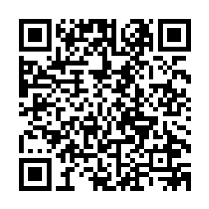 胡迪已经等在了车门口――没等珍妮或玛丽询问他幼子的安好二维码生成