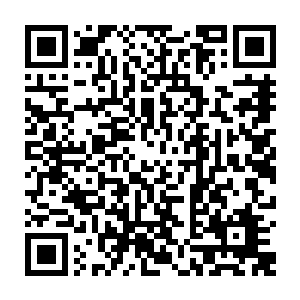 能一边和主人寒暄一边用和煦的目光将周围淋雨的同僚都照顾到这是一种功力二维码生成