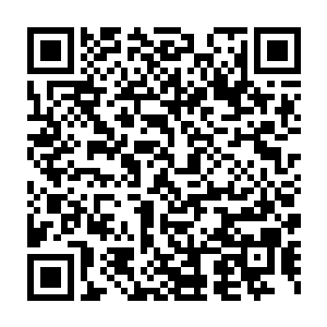 能不能拉动官僚体系的大部分加以支持――老种为代表的这些武臣二维码生成