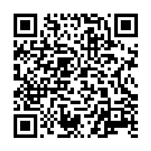 能力在其被杀死的过程中反而成了一种增添痛苦的负担……二维码生成