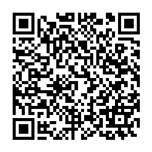 能在一名王族身边还能保持这么镇定和淡然的无角人他从没有见过二维码生成
