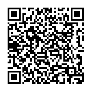 能够一出生就有大罗金仙境界的在整个仙界之中也绝对不会超过两掌之数二维码生成