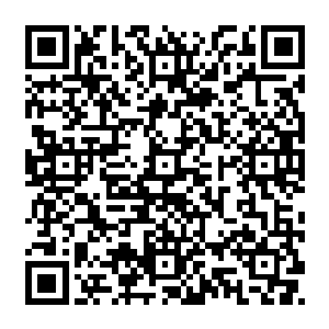 能够从上万斯宾塞家族的直系家族成员中脱颖而出坐在这里的人都是家族中的精英二维码生成