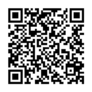 能够像你这样真正成为全世界瞩目焦点的顶尖巨星可没有几个二维码生成