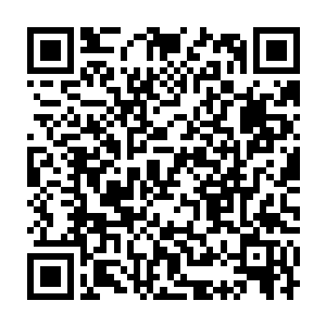 能够和二皇子您这样的年轻俊杰合作实在是戚某这辈子最大的荣幸啊二维码生成