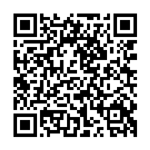 能够强行命令沧浪城的周家和南林城的杨家结盟的只有华阳宗二维码生成