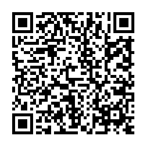 能够很大程度了解辽省目前情况以及他们对目前形势的判断和看法二维码生成
